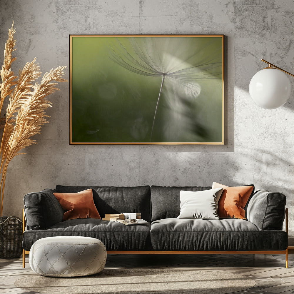 Shadows in the green | Poster