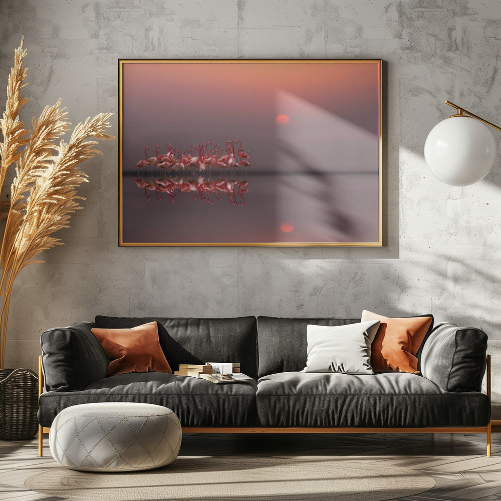 lila solnedgång | Poster