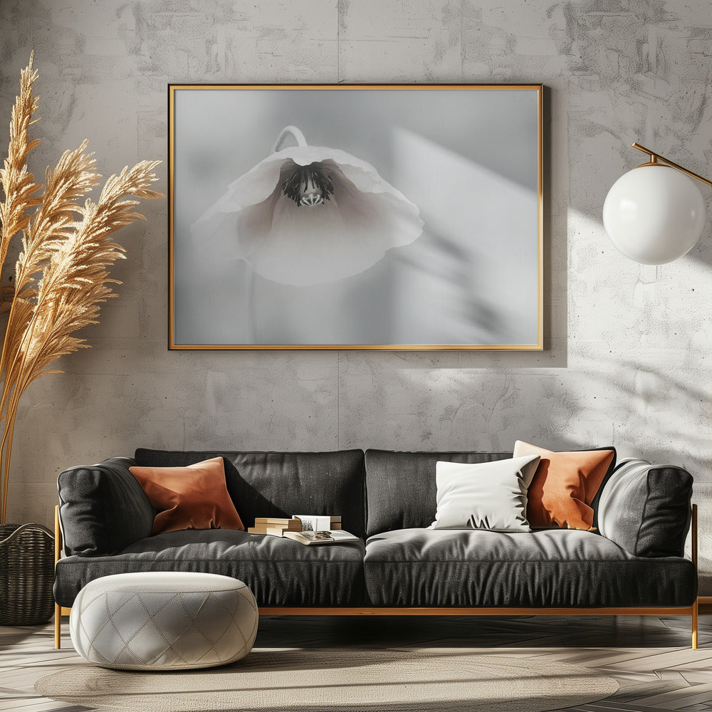 Ephemeral Beauty | Poster