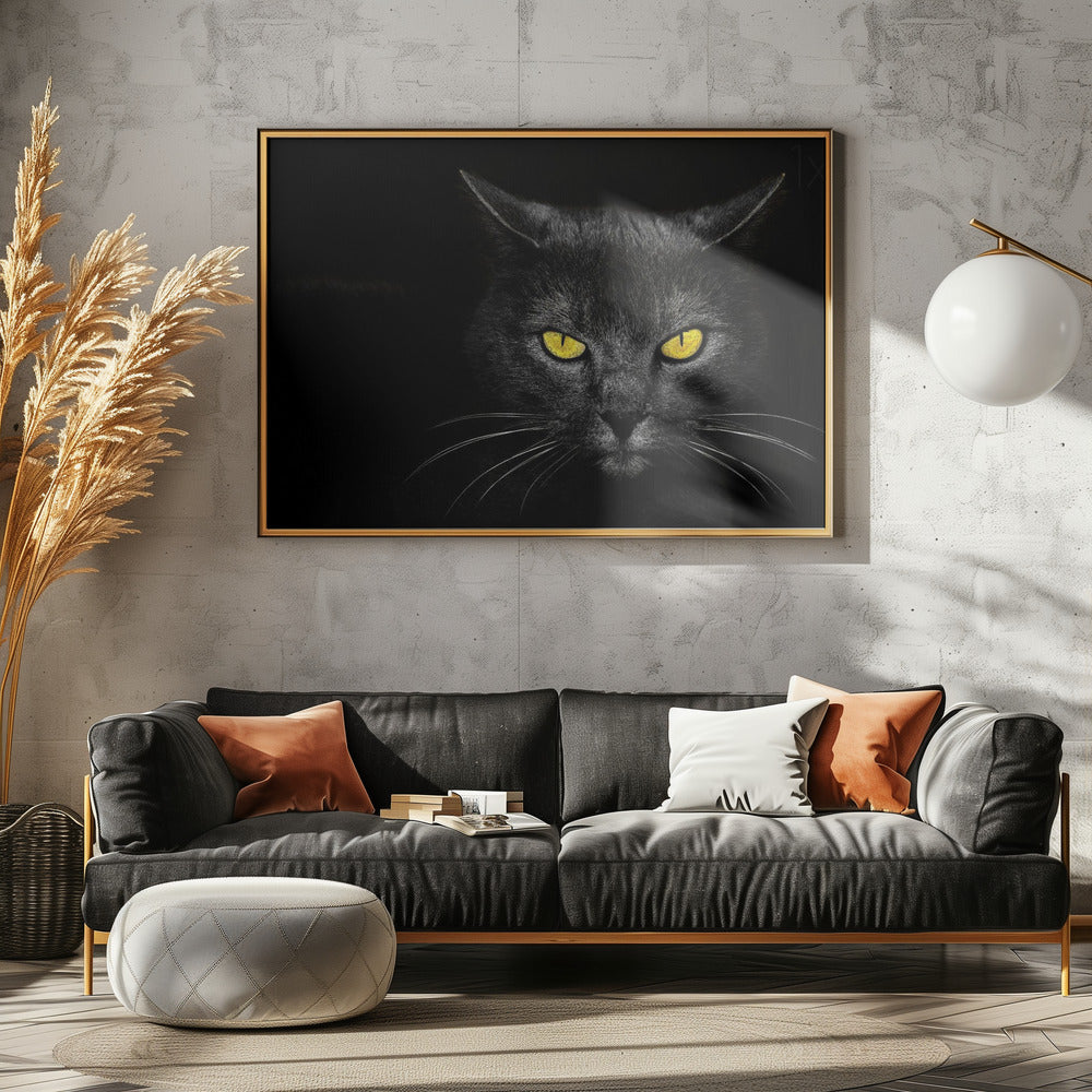 Svart katt | Poster