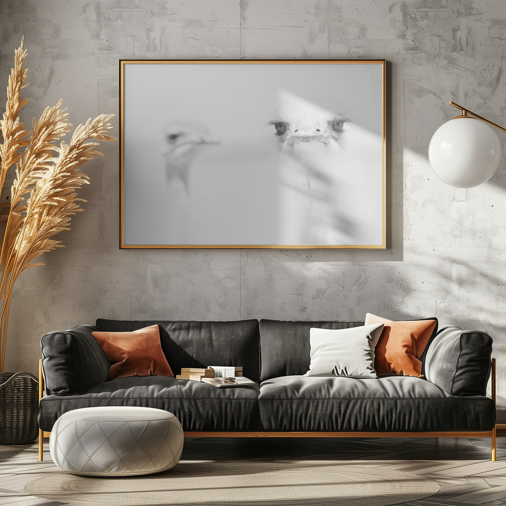 Rolig struts | Poster