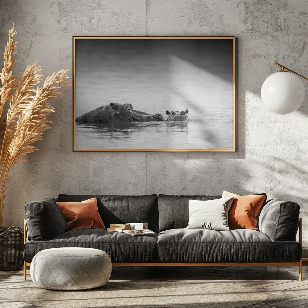 Ögonhöjd | Poster