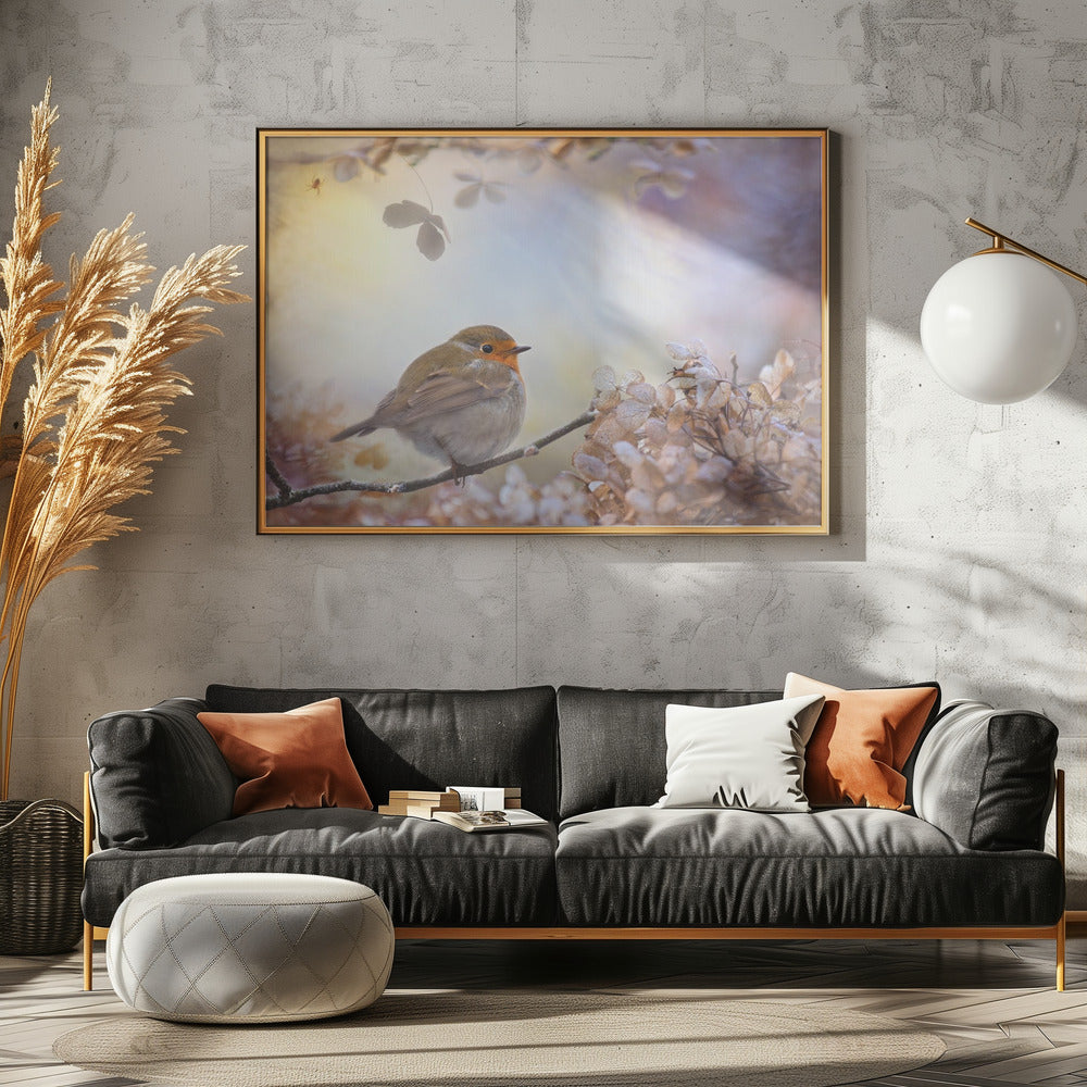 Robin om drömmar | Poster