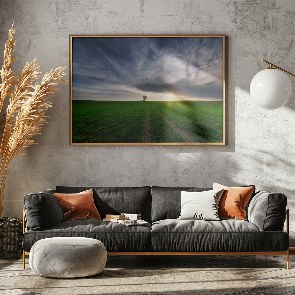 Ensamvarg i solen | Poster