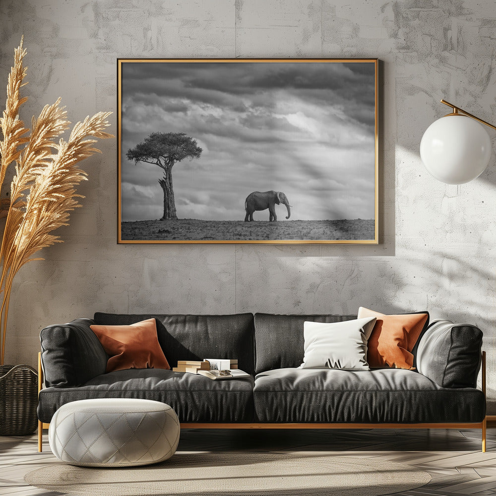 Elefantlandskap | Poster