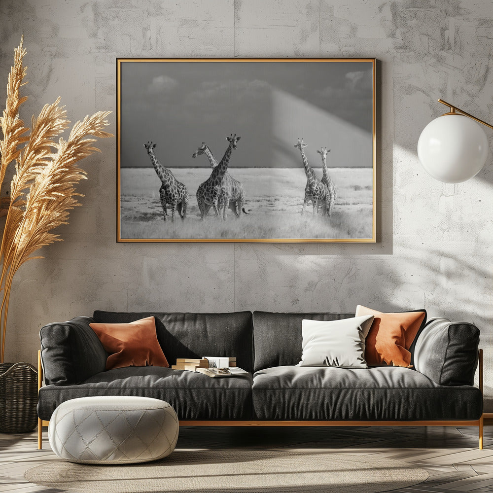 Titta Flicka Konstiga Djur | Poster