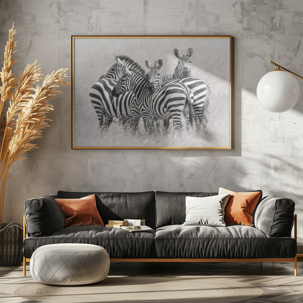 Zebror | Poster
