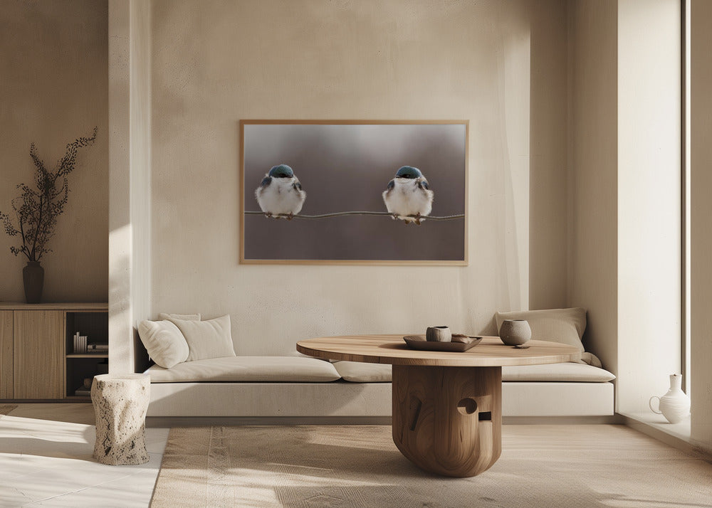 Birds on a wire | Poster
