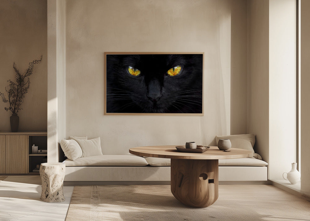 The hypnotist of the night | Poster