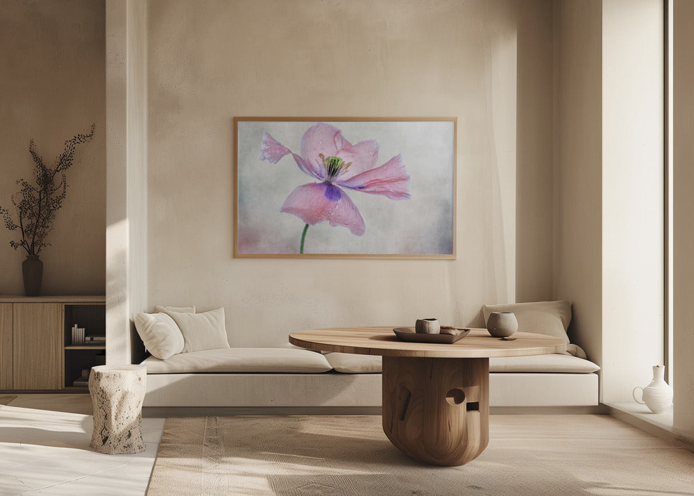 Pastel poppy | Poster