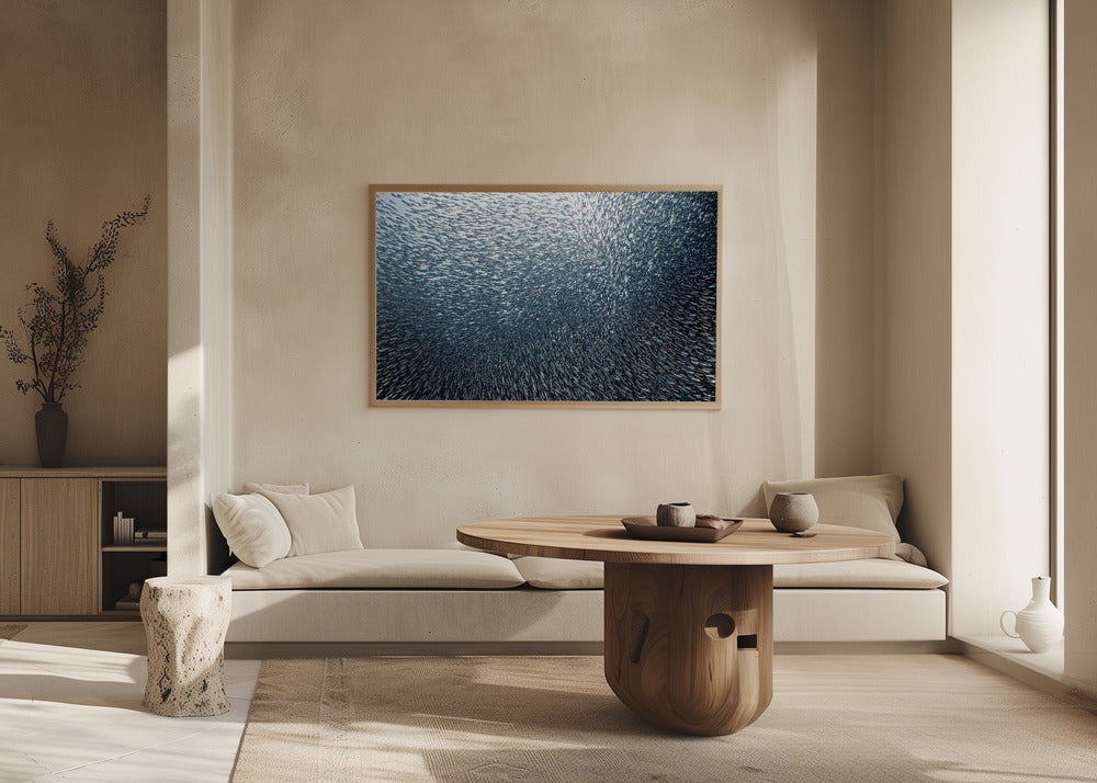 Sardiner Fyrverkeri | Poster