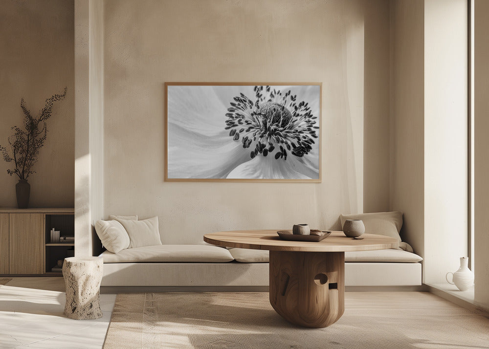 Anemone | Plakater - Kunsttrykk