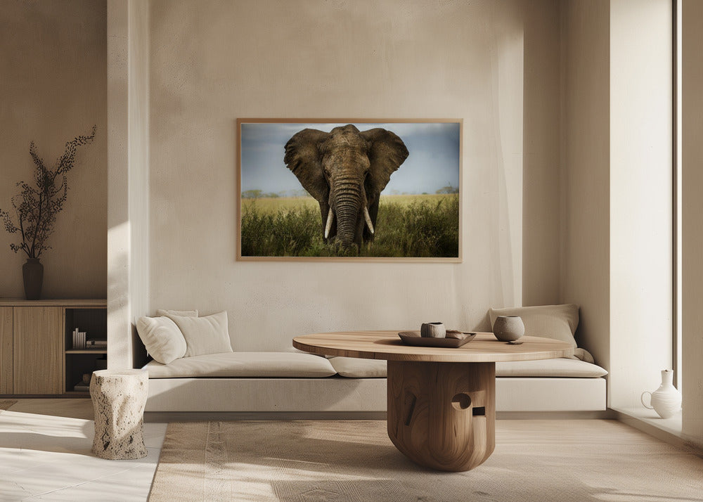 Möten i Serengeti | Poster