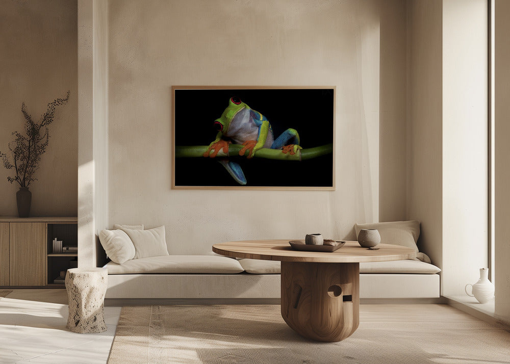 Nyfikenhet | Affisch
