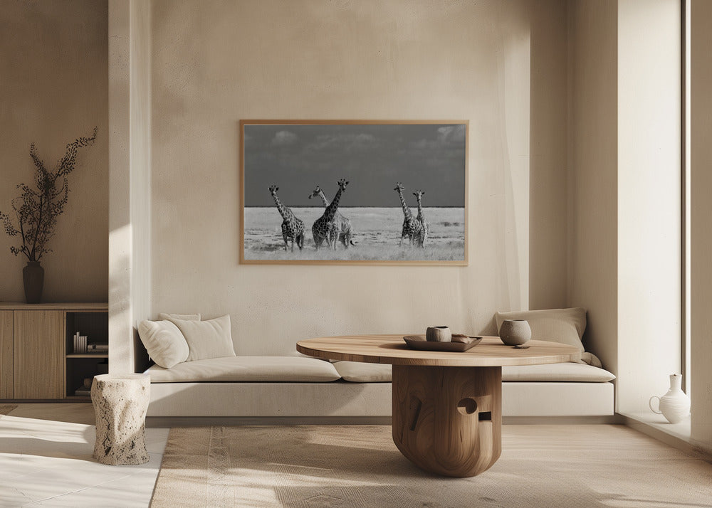 Titta Flicka Konstiga Djur | Poster