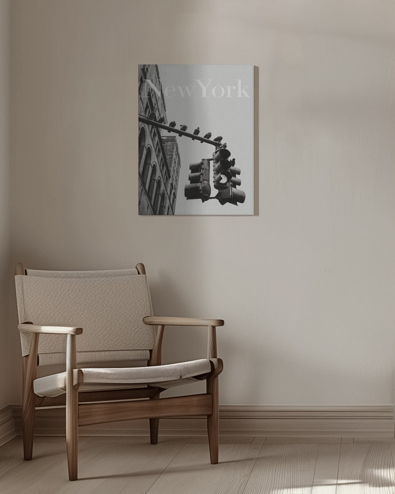 NYC Doves | Canvas