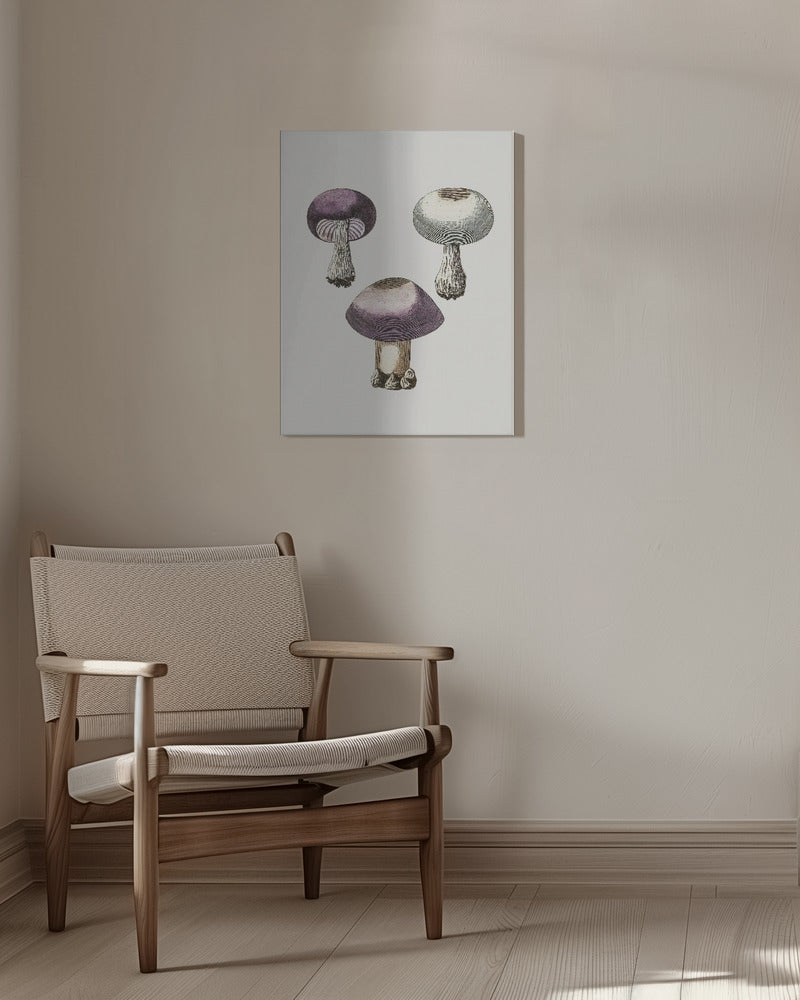 Handmörk violett webcap-svamp | Canvas