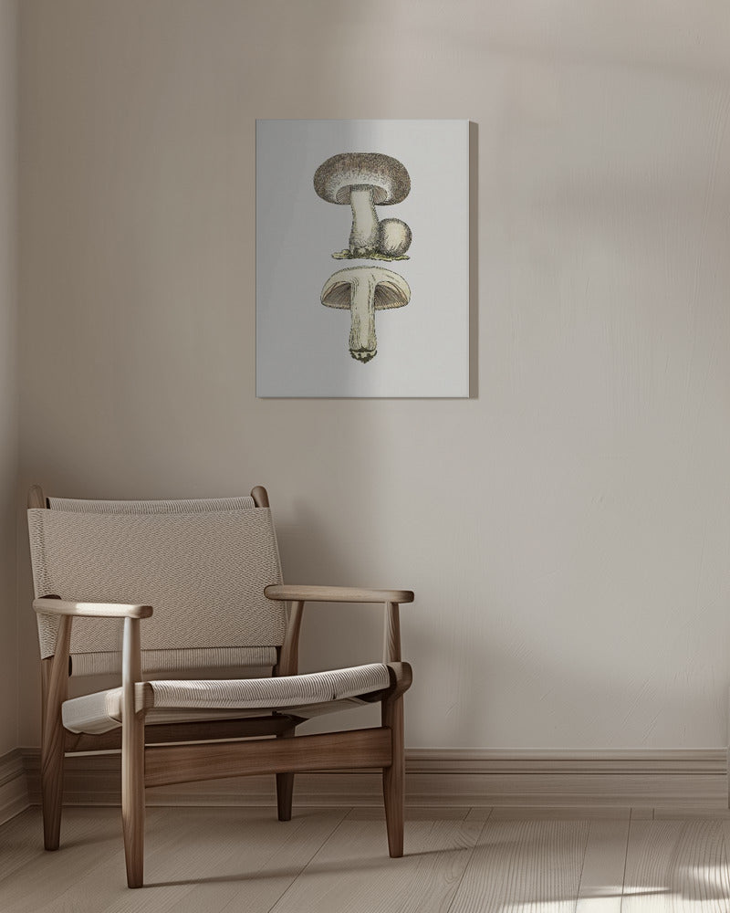 Handritad fältsvamp grå | Canvas