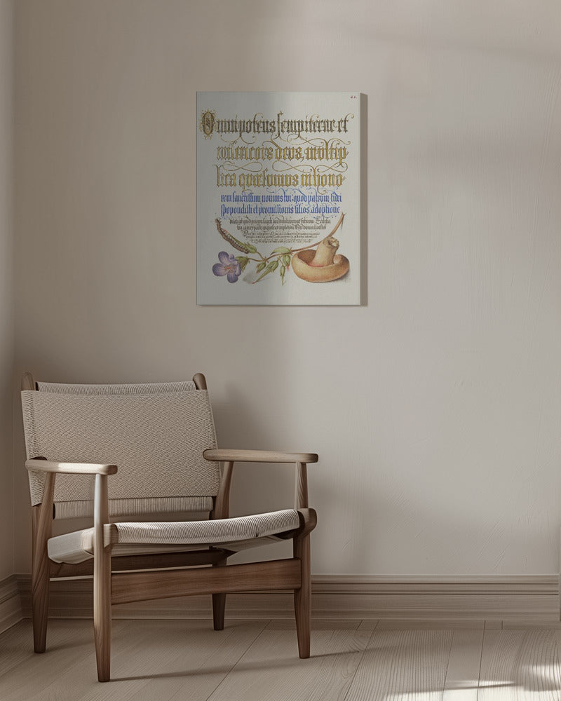 Svampposter | Canvas