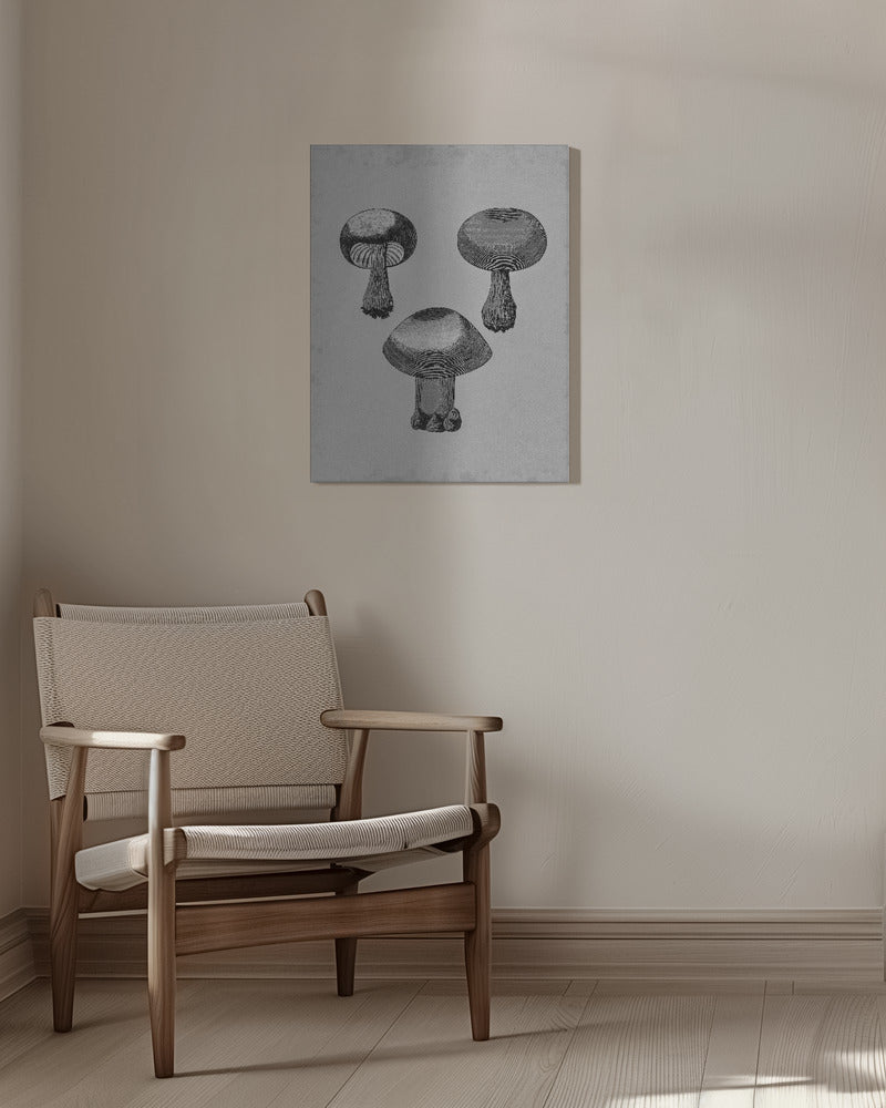 Violett Webcap-svamp | Canvas