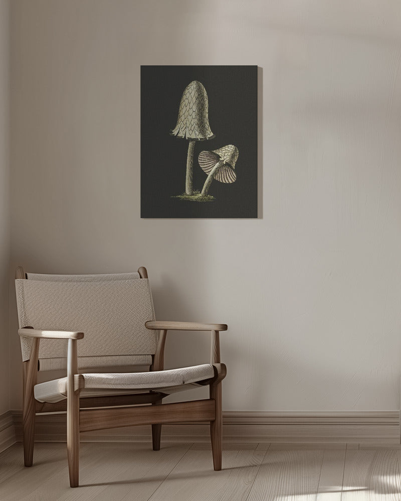 Vintage bläckmössa ätbar svamp svart bakgrund | Canvas