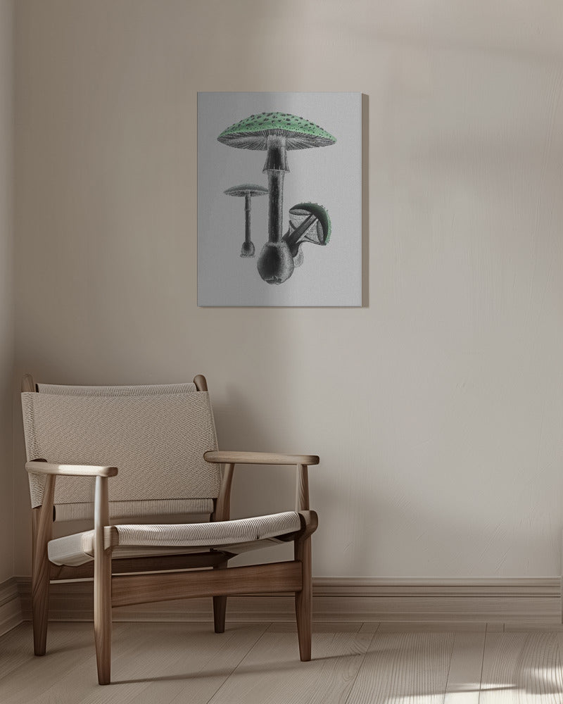 Amanita Muscaria Vit bakgrund Grön | Canvastavla