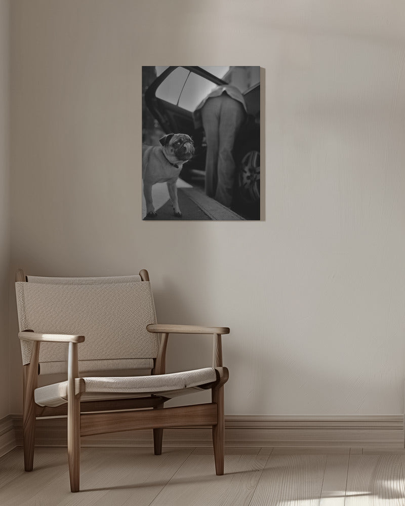 Namnlös | Canvas