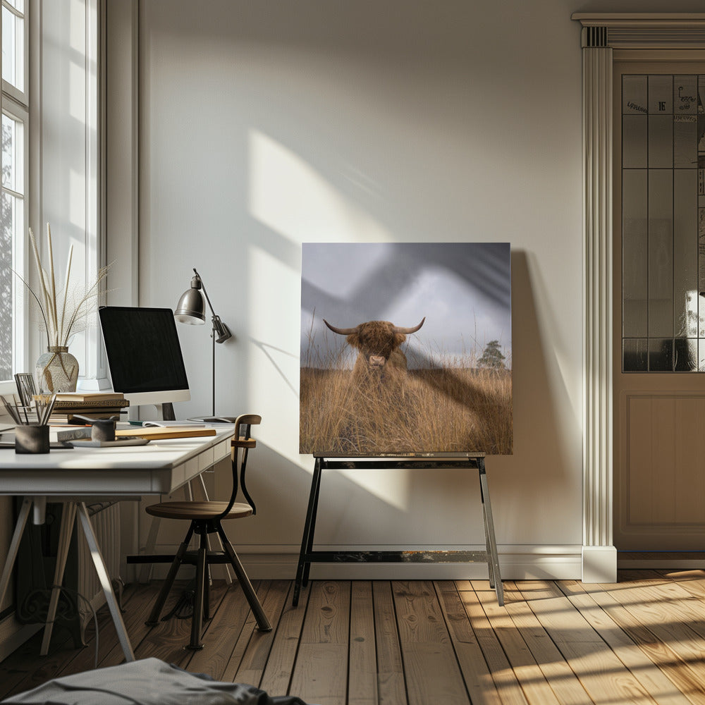 Det var inte jag | Canvas