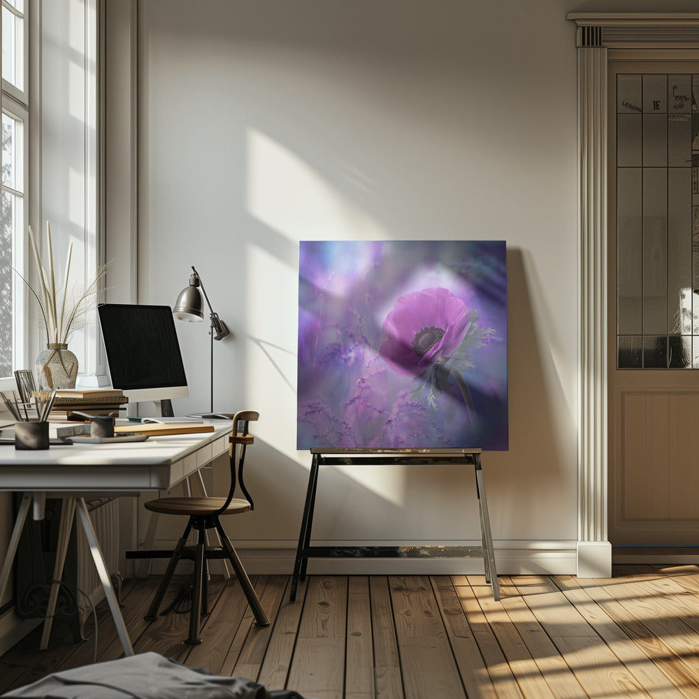 Extas | Canvas