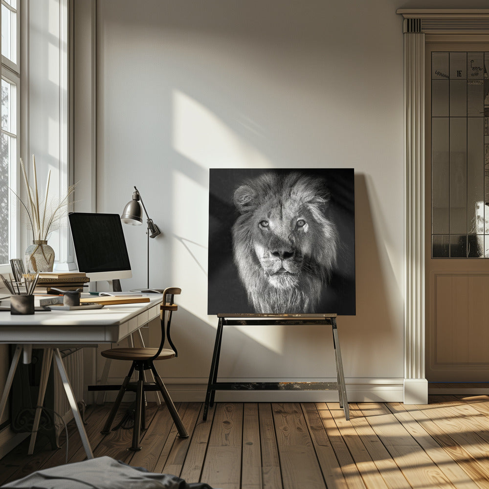 Lejonporträtt - Panthera Leo | Canvas