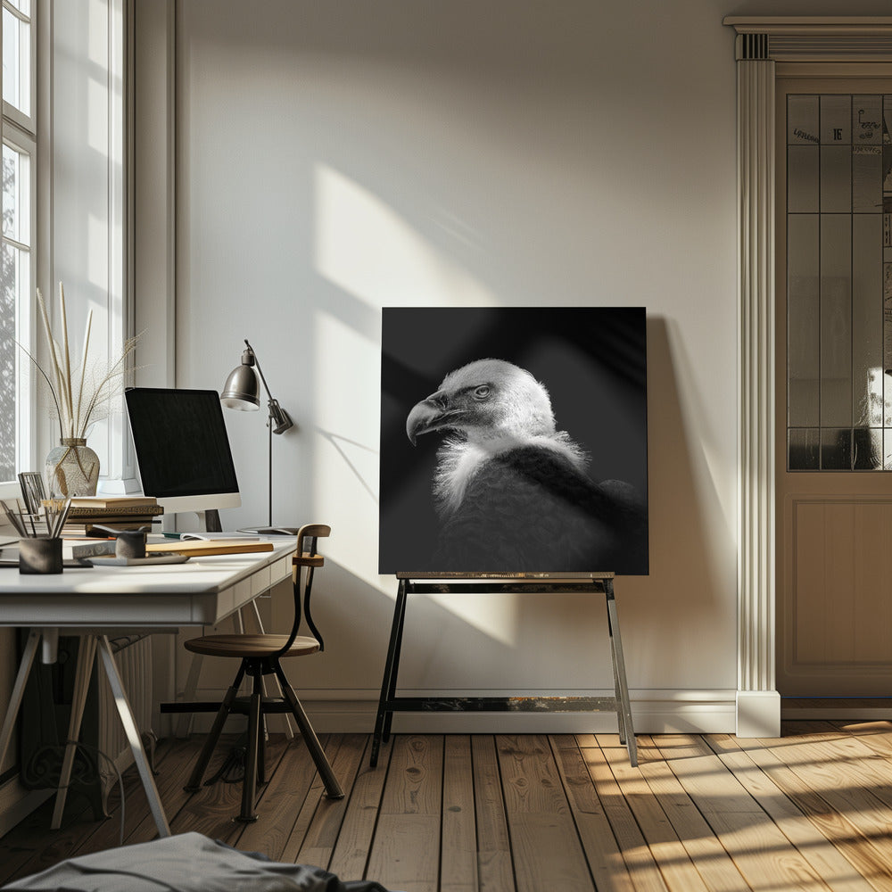 Eurasisk griffon #7 | Canvas