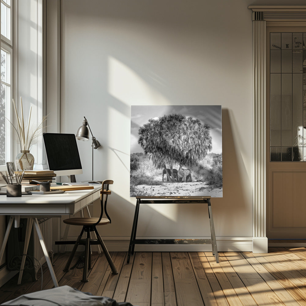 Middagsmöte | Canvas