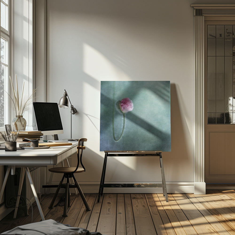 Förtroende | Canvas