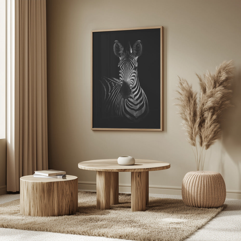 Zebran | Poster