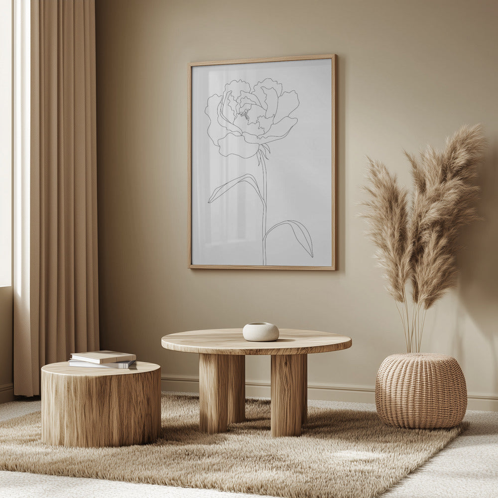 Pionlinjer | Poster