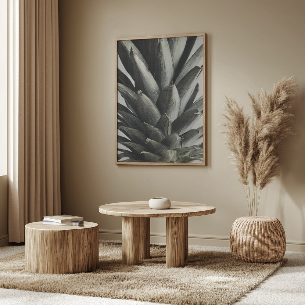 Ananas närbild | Poster