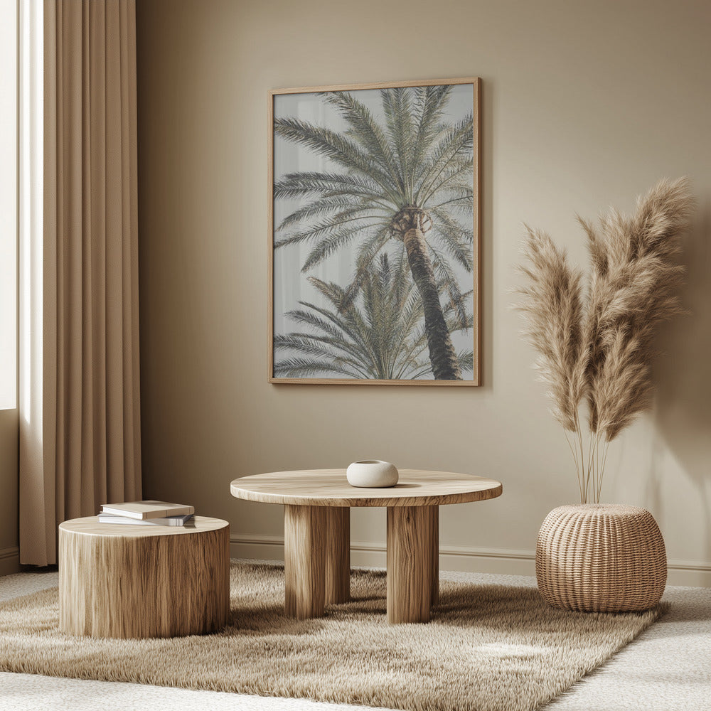 Palm_005 | Affisch