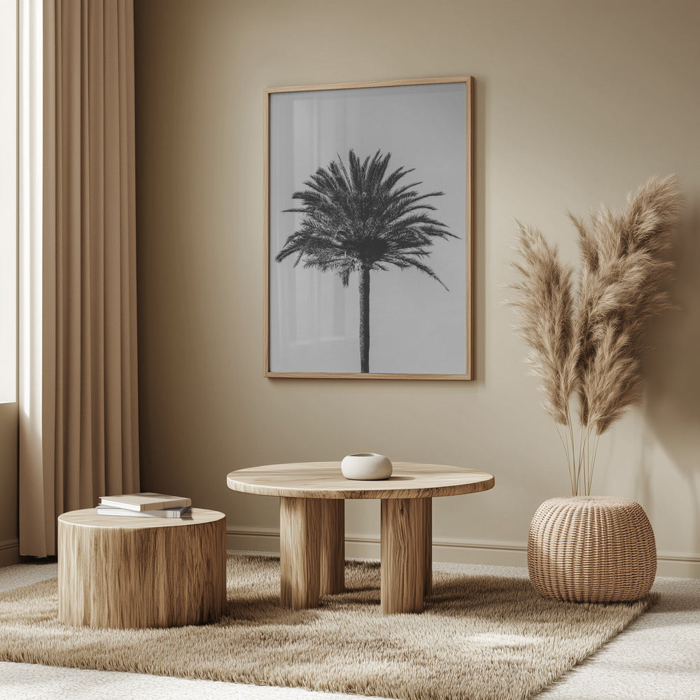 Palm_003 | Poster