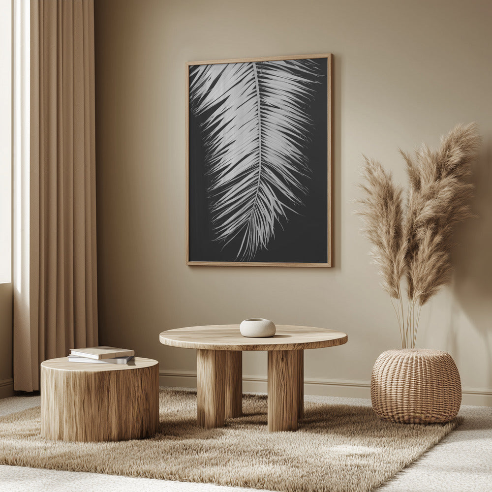 Palmblad_004 | Poster
