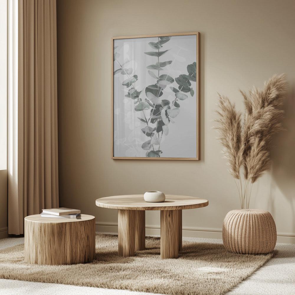 Eucalyptus_002 | Poster