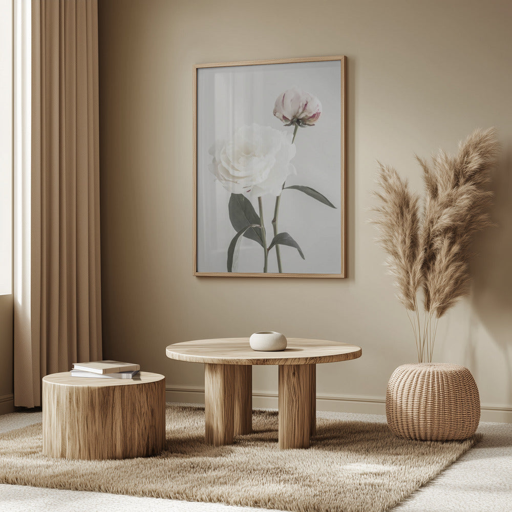 Peony 12 | Poster