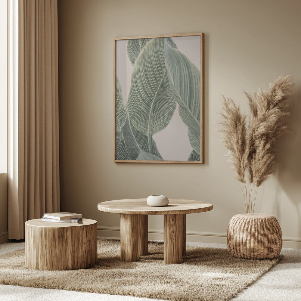 Calla Leaf | Poster