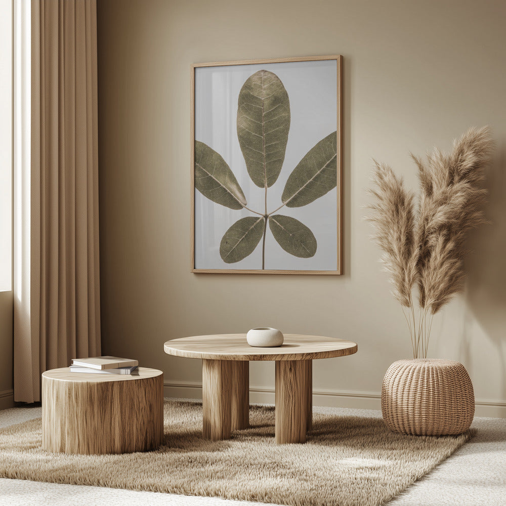 Autum Leaf | Poster