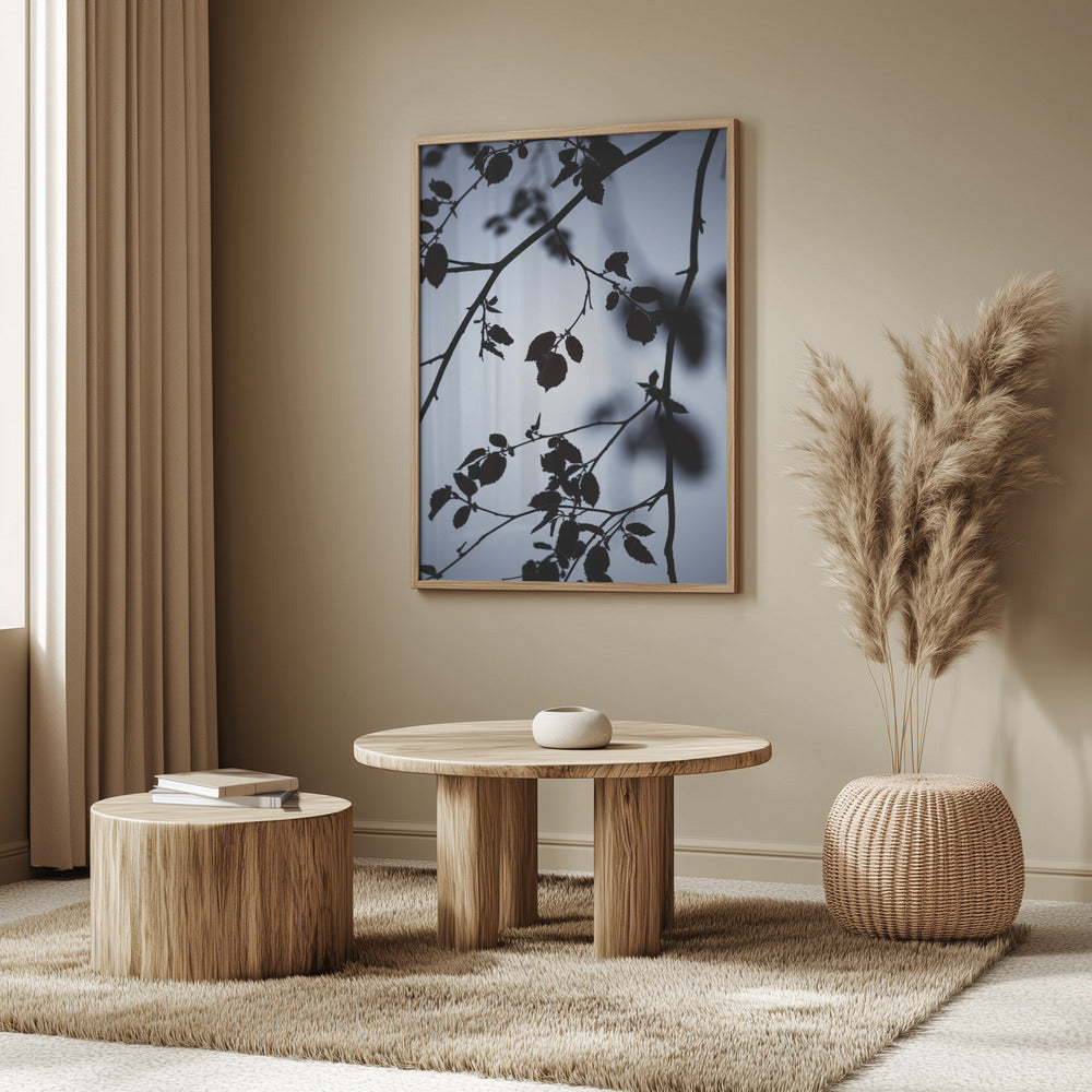 Gryningens gryning | Poster
