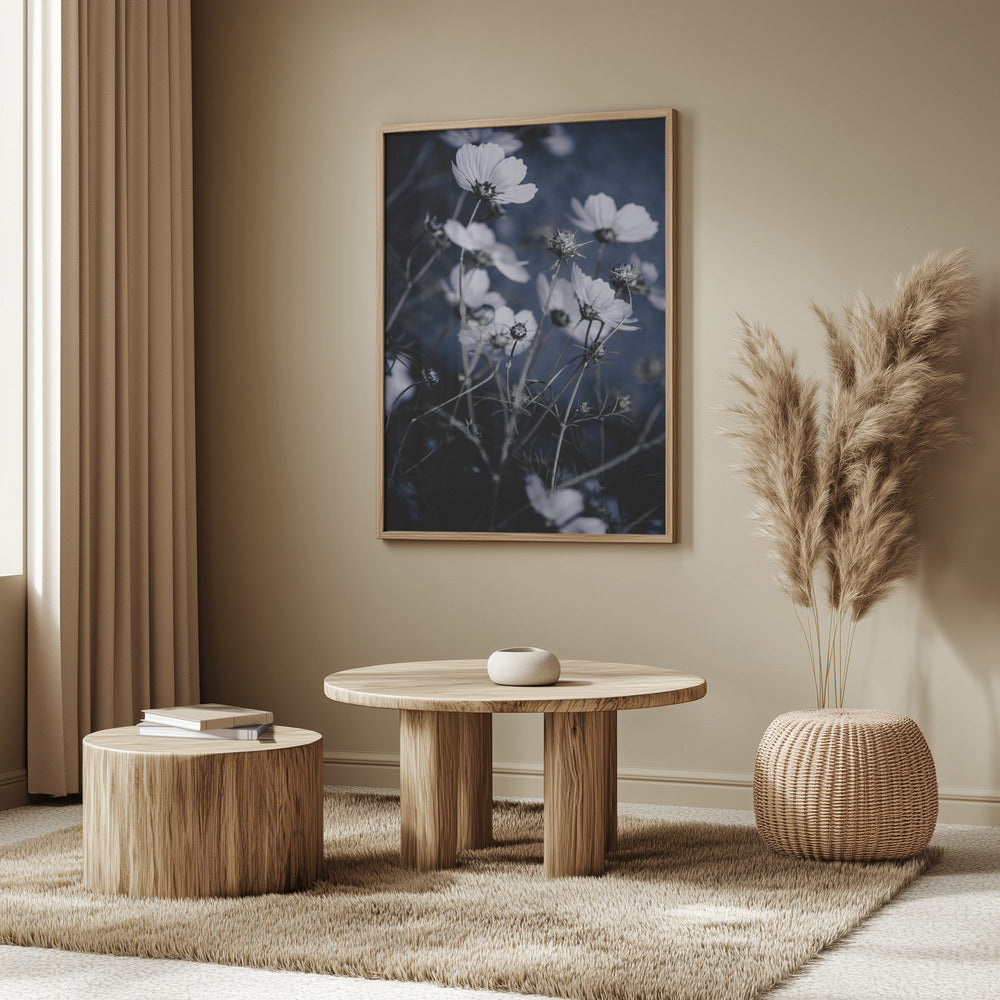 Vilda blommor 10 | Poster