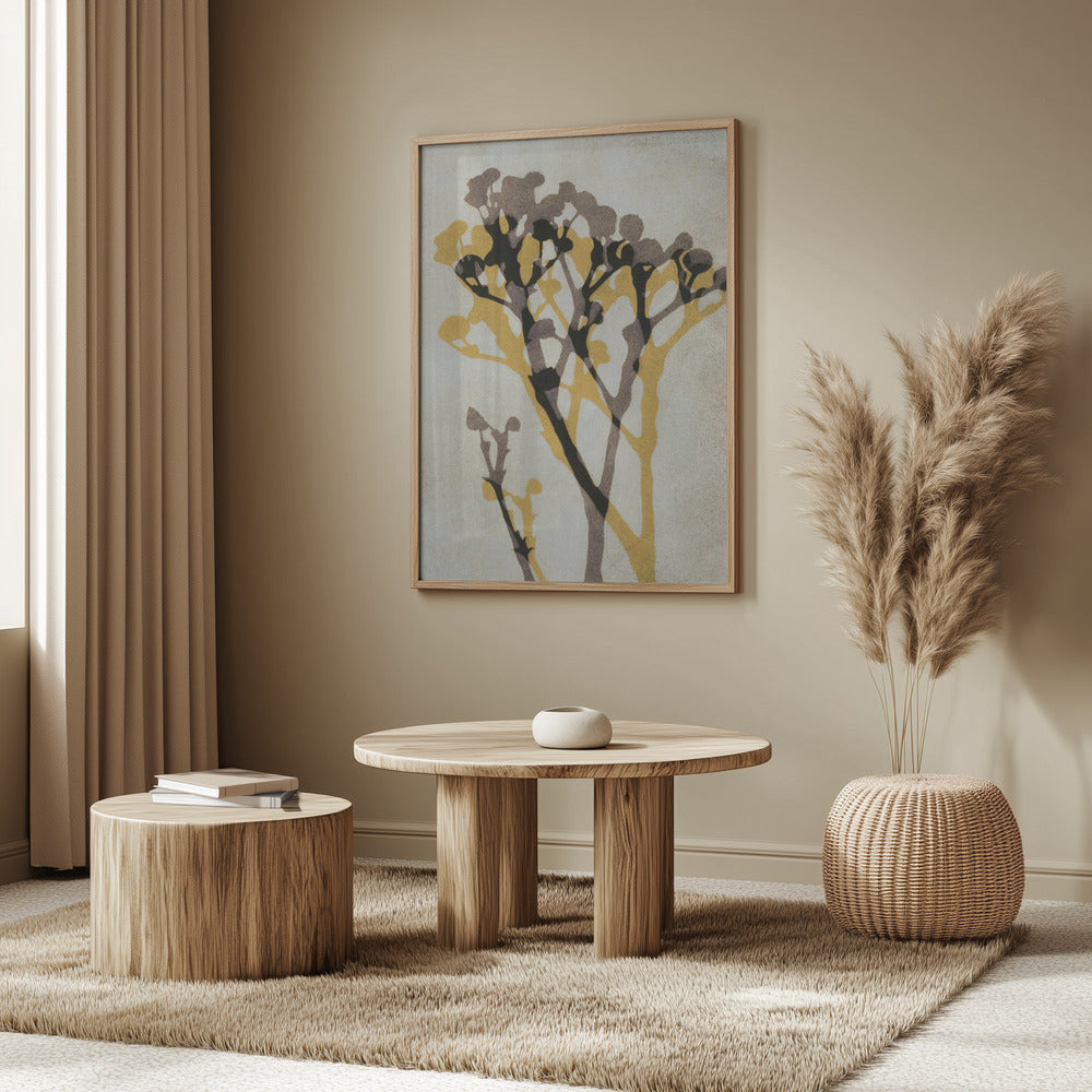 Ekon av Gypsophila | Poster