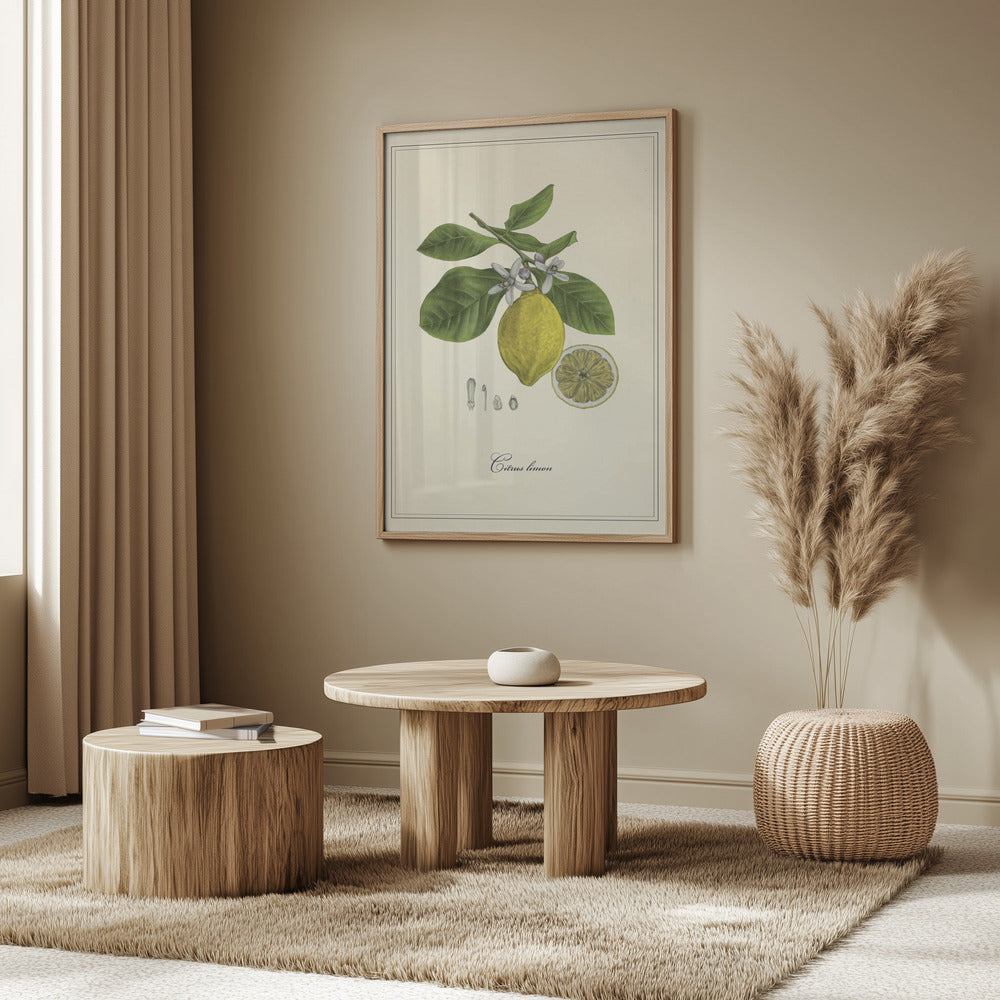 Citron | Poster