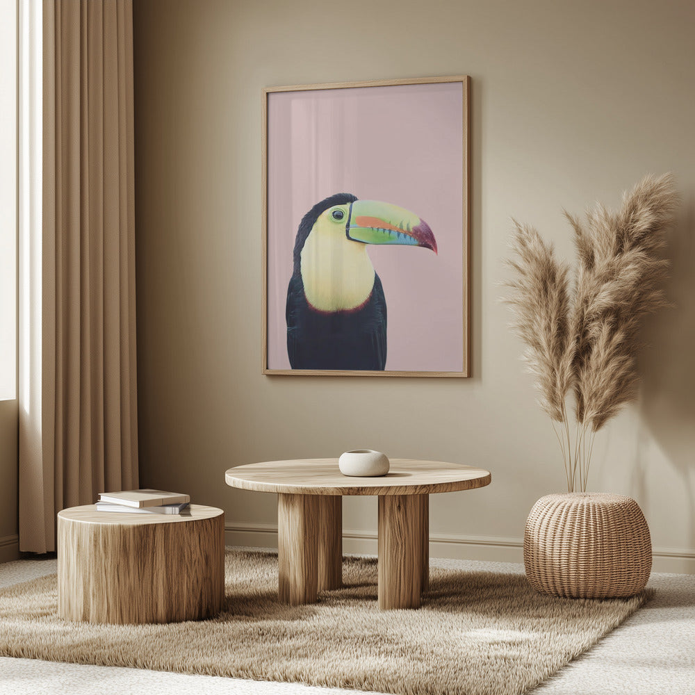 Tukan på rosa | Poster