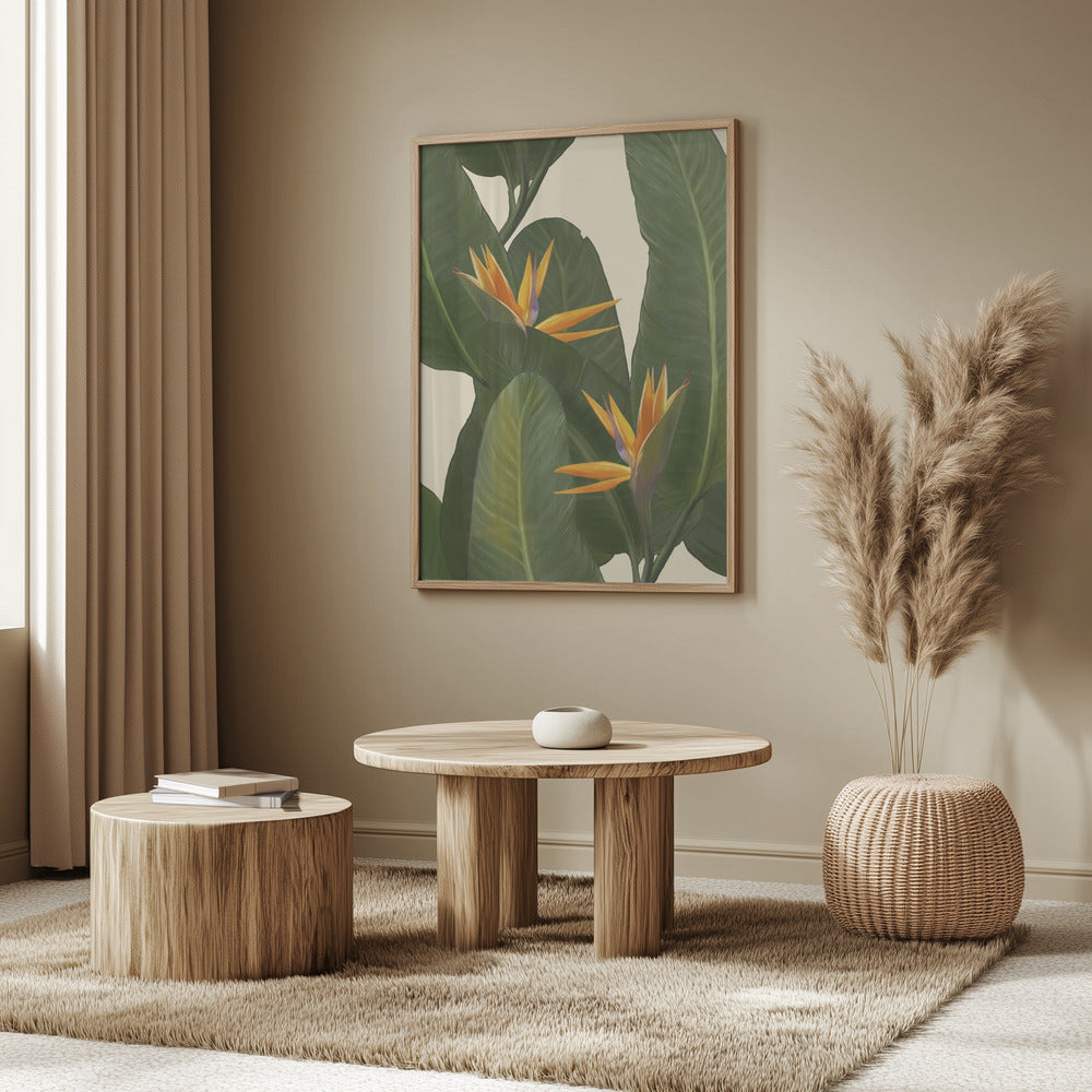 Birds of Paradise | Poster