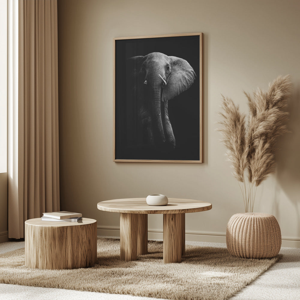 Elefant! | Poster